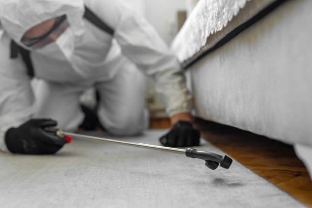 Professional Ant Control technician working in Mart, TX