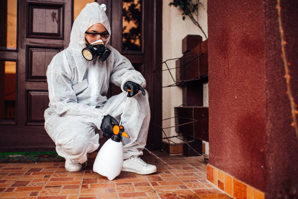 Reliable Ant Control contractor in Mart, TX by Nex Pest Control